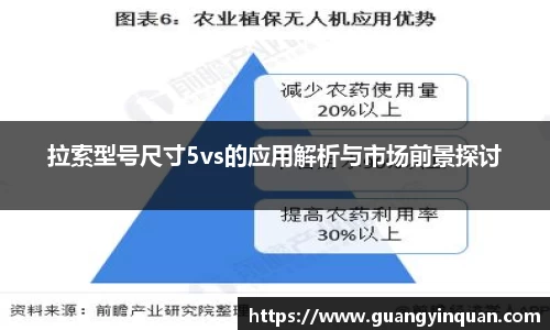 拉索型号尺寸5vs的应用解析与市场前景探讨